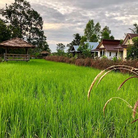 Baan Thung Home Stay Prasat المظهر الخارجي الصورة