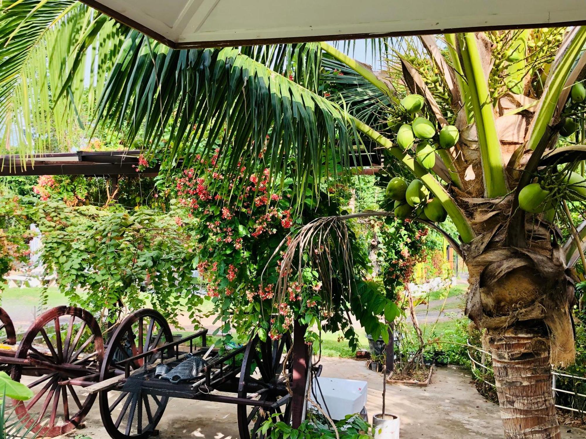 Baan Thung Home Stay Prasat المظهر الخارجي الصورة