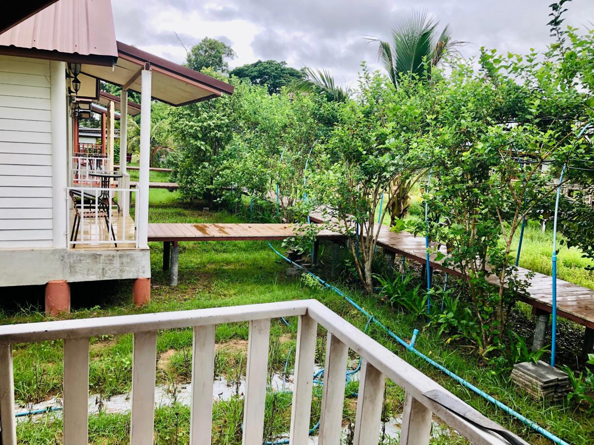 Baan Thung Home Stay Prasat المظهر الخارجي الصورة