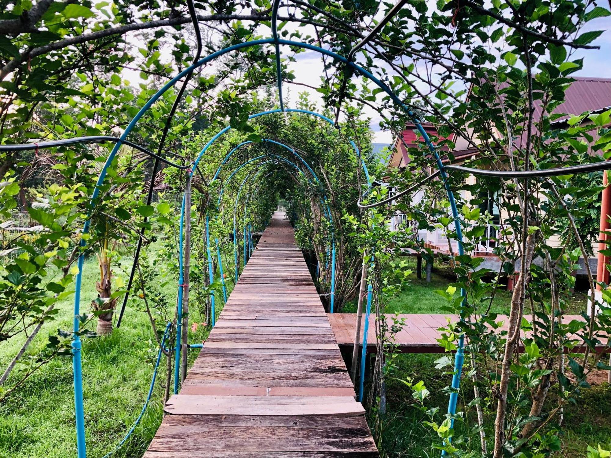 Baan Thung Home Stay Prasat المظهر الخارجي الصورة