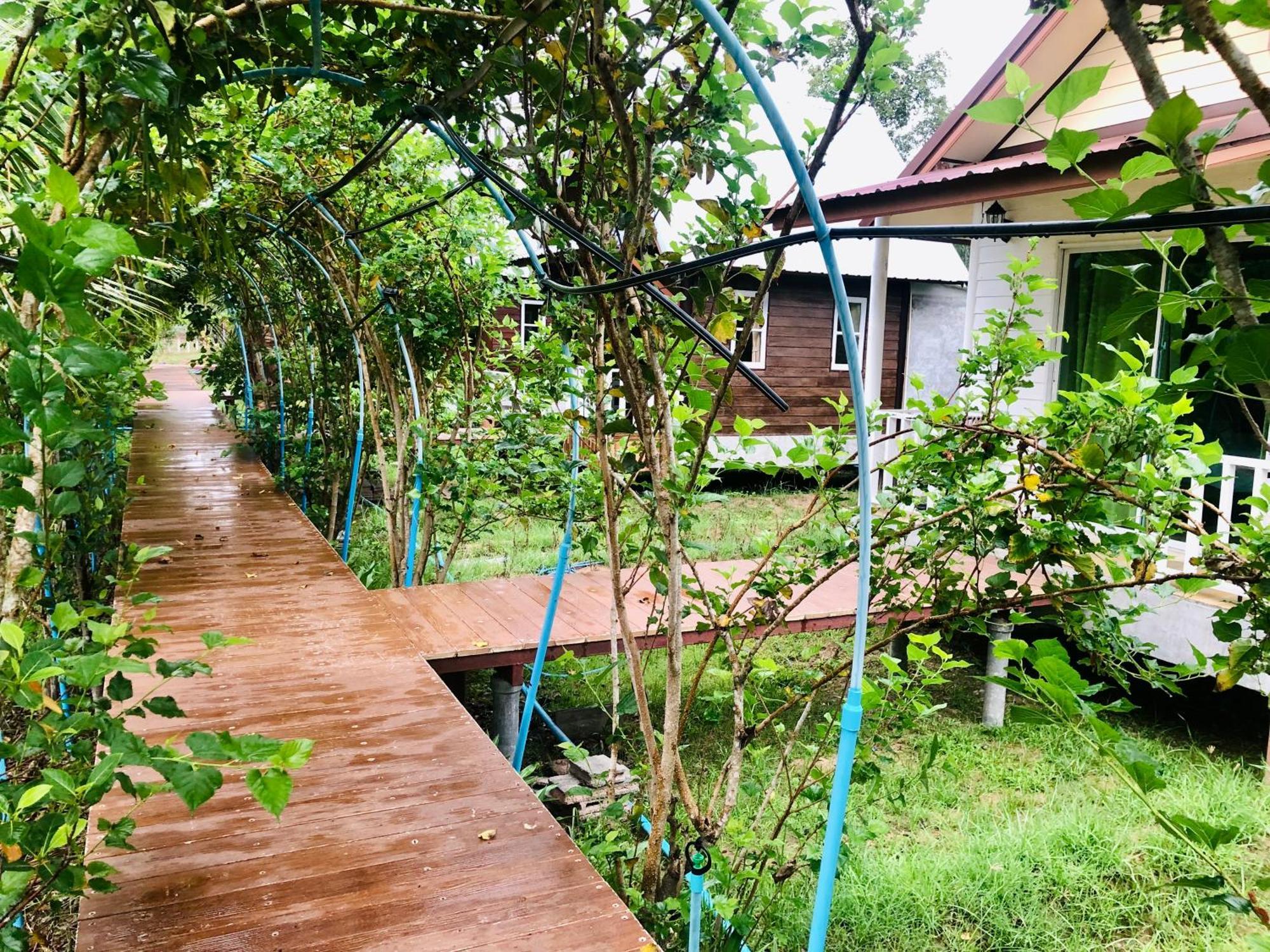 Baan Thung Home Stay Prasat المظهر الخارجي الصورة