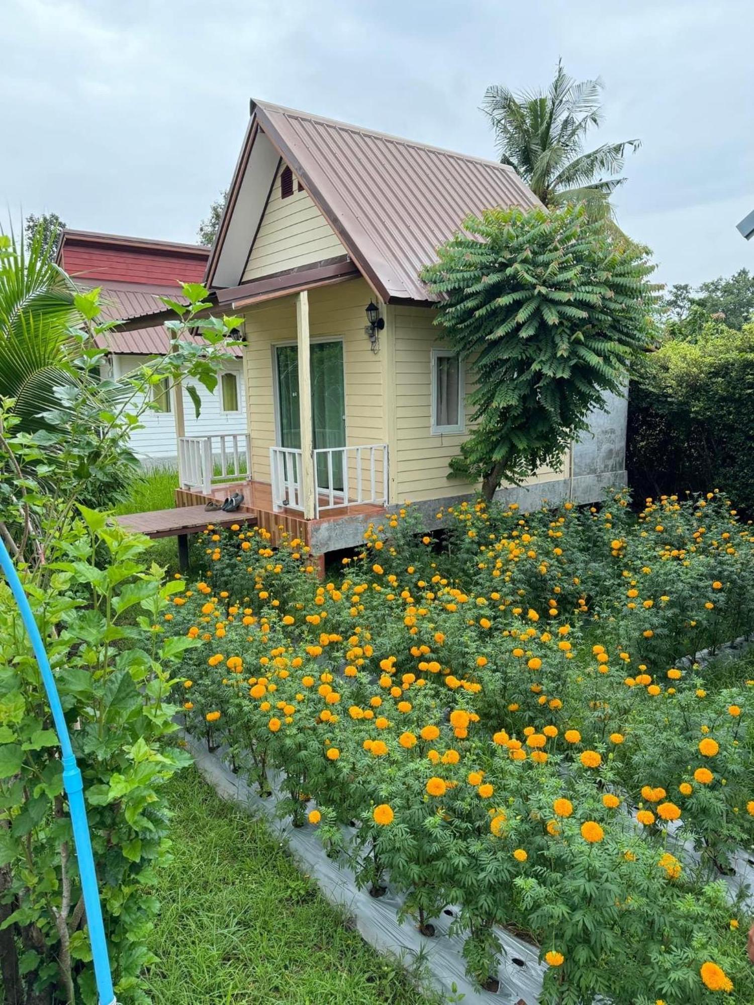 Baan Thung Home Stay Prasat المظهر الخارجي الصورة