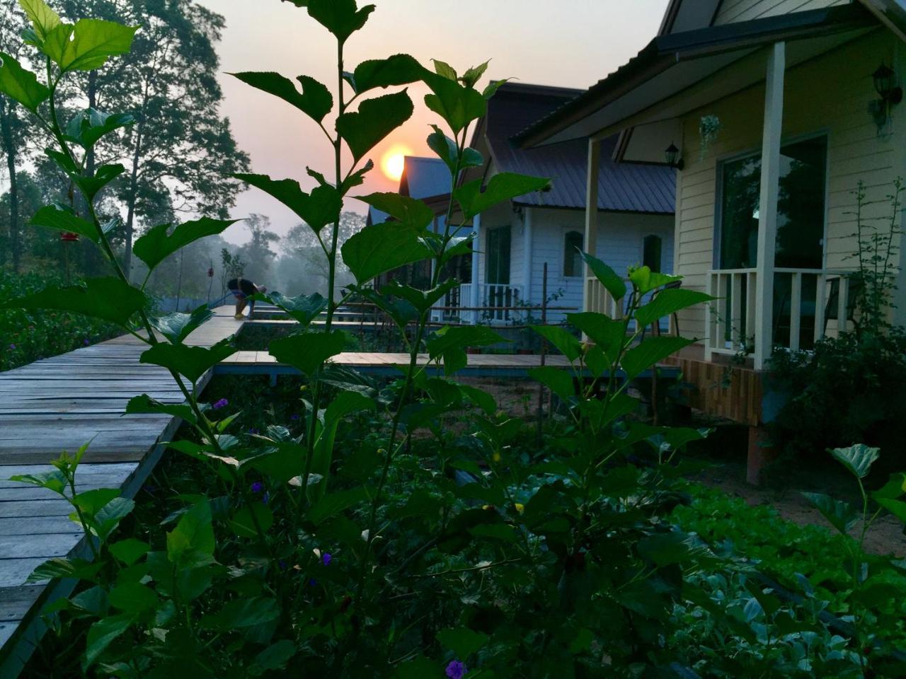 Baan Thung Home Stay Prasat المظهر الخارجي الصورة
