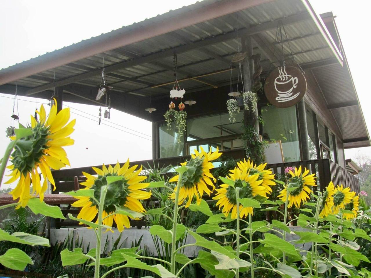 Baan Thung Home Stay Prasat المظهر الخارجي الصورة