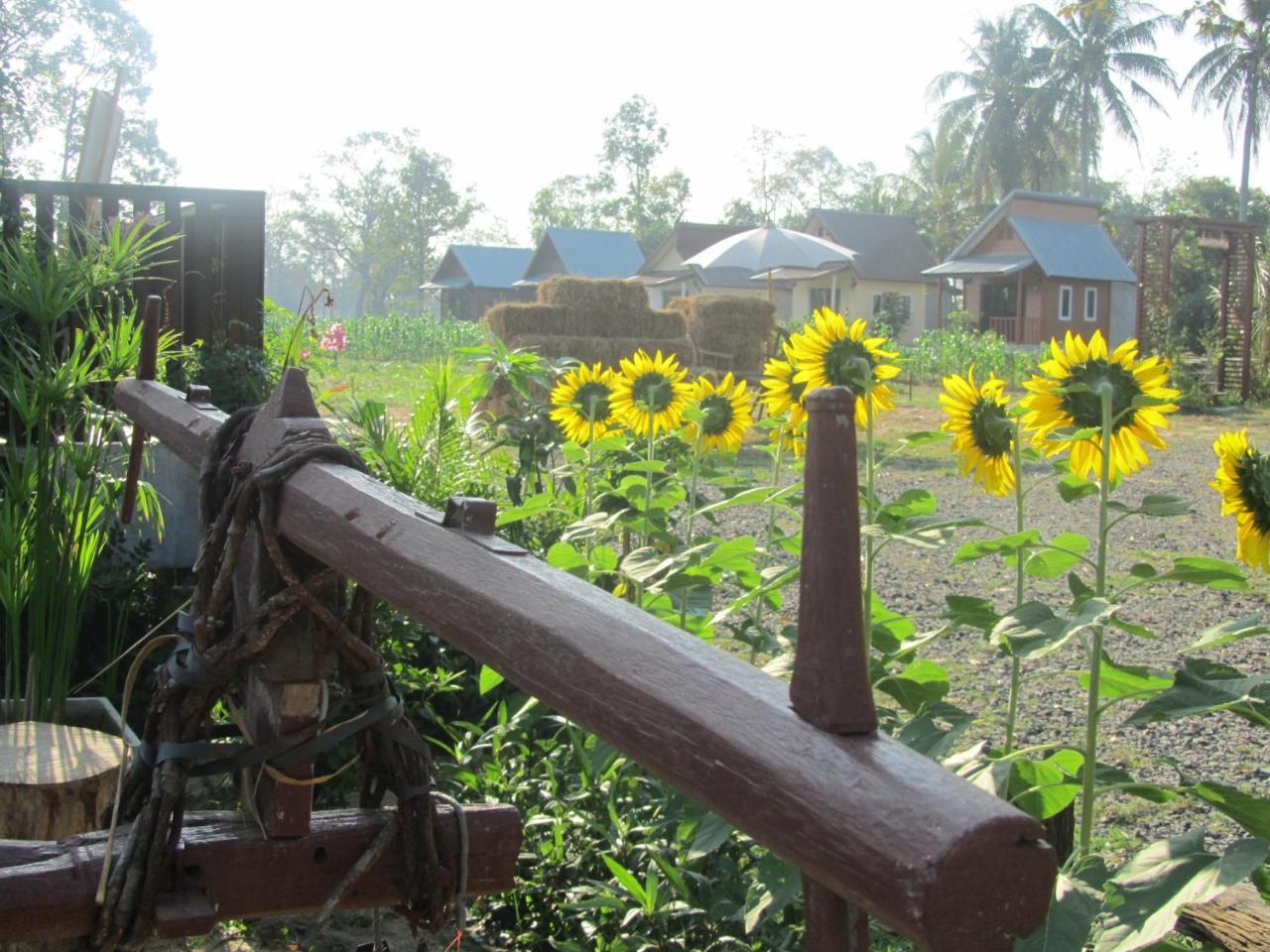 Baan Thung Home Stay Prasat المظهر الخارجي الصورة