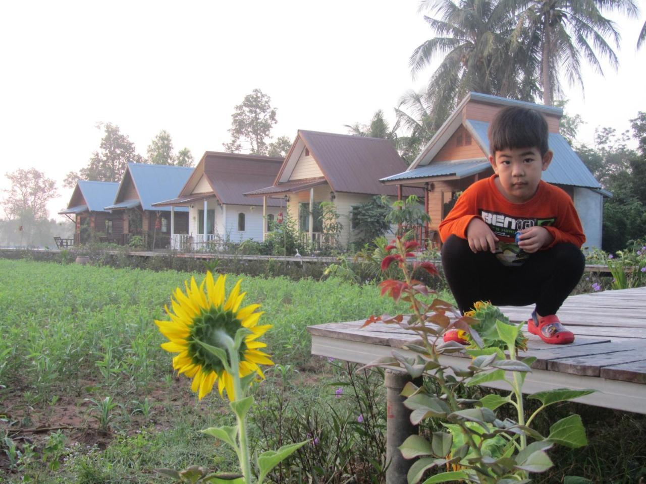 Baan Thung Home Stay Prasat المظهر الخارجي الصورة