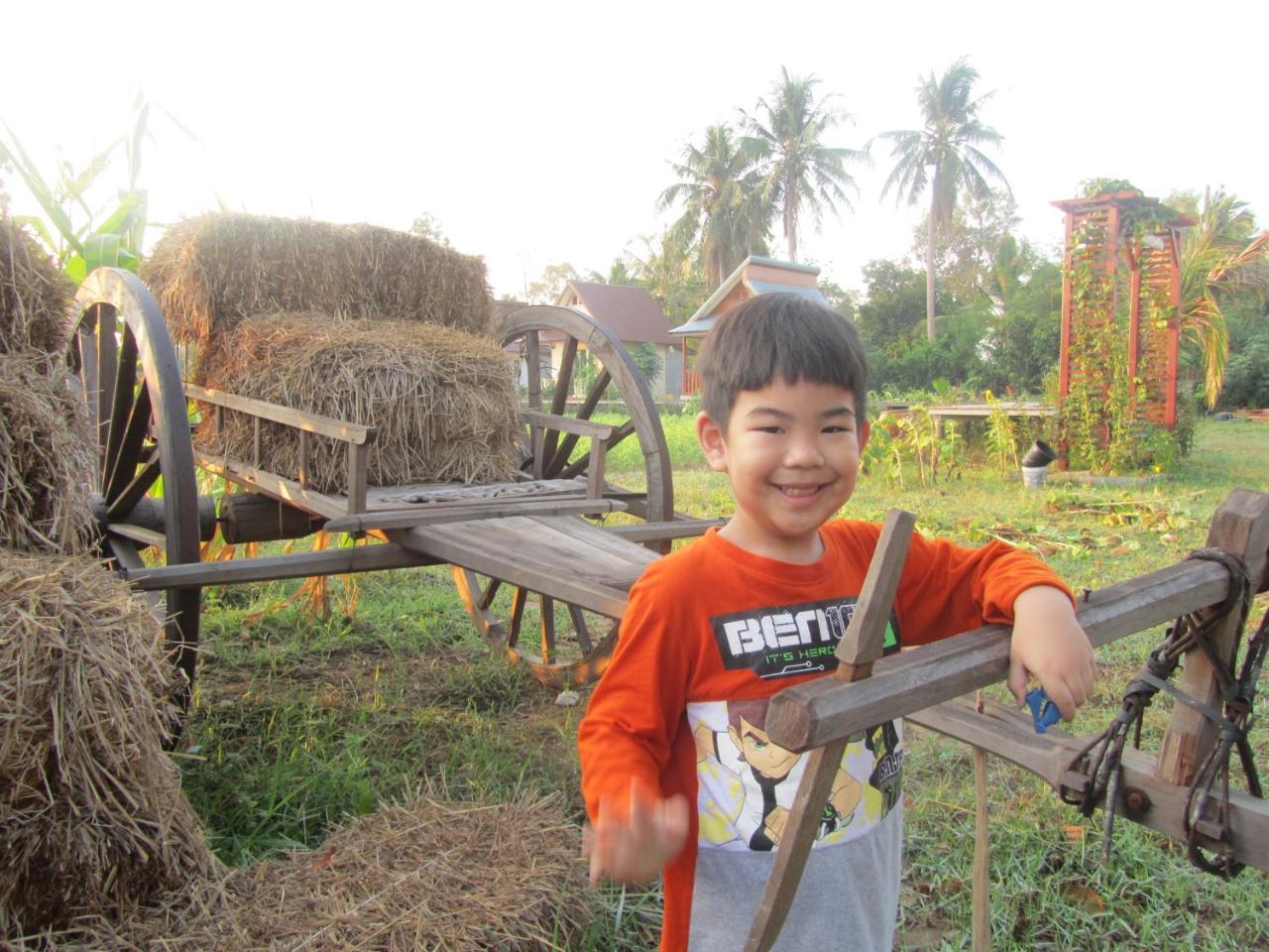 Baan Thung Home Stay Prasat المظهر الخارجي الصورة