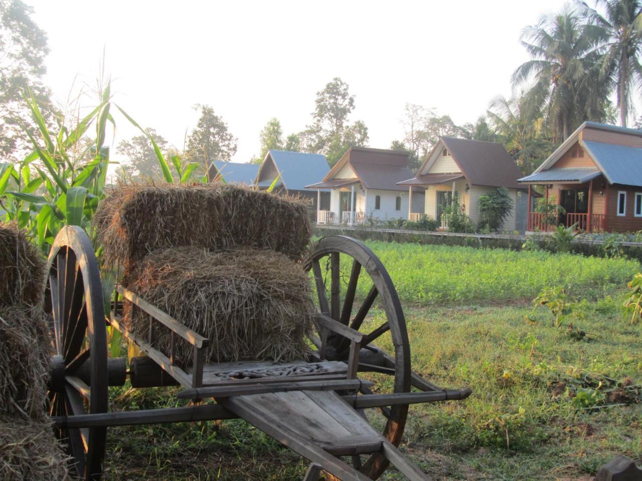 Baan Thung Home Stay Prasat المظهر الخارجي الصورة
