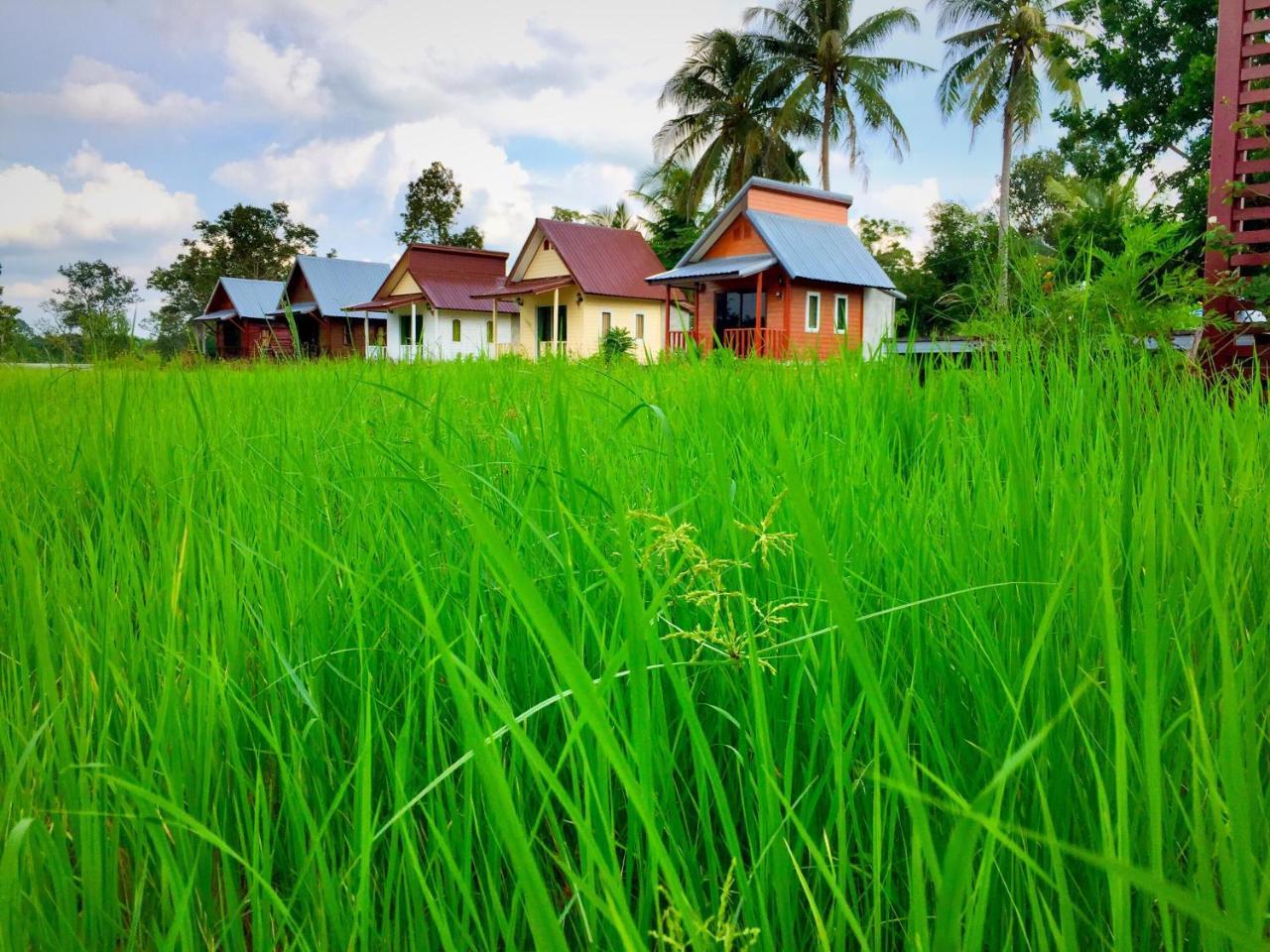 Baan Thung Home Stay Prasat المظهر الخارجي الصورة