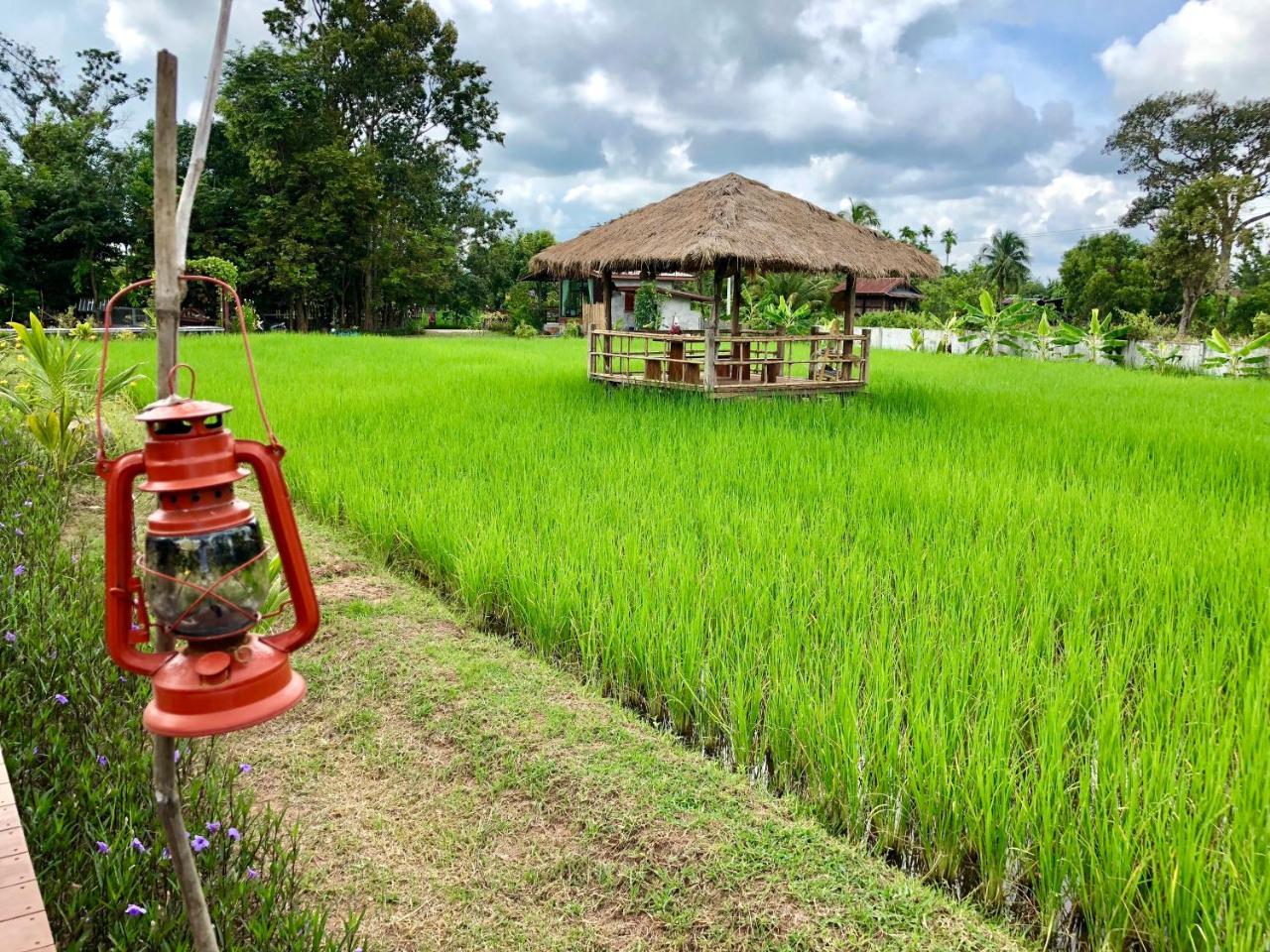 Baan Thung Home Stay Prasat المظهر الخارجي الصورة