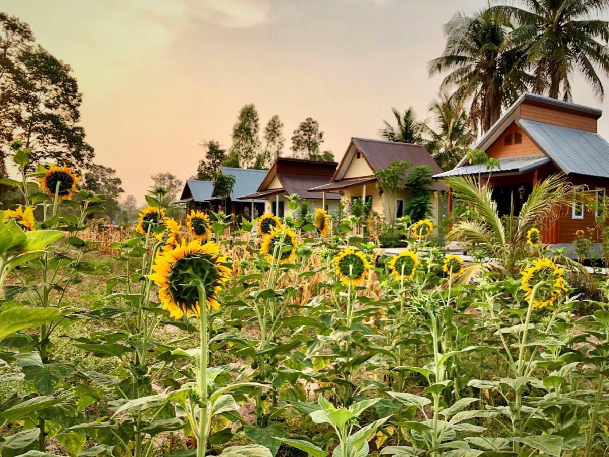 Baan Thung Home Stay Prasat المظهر الخارجي الصورة