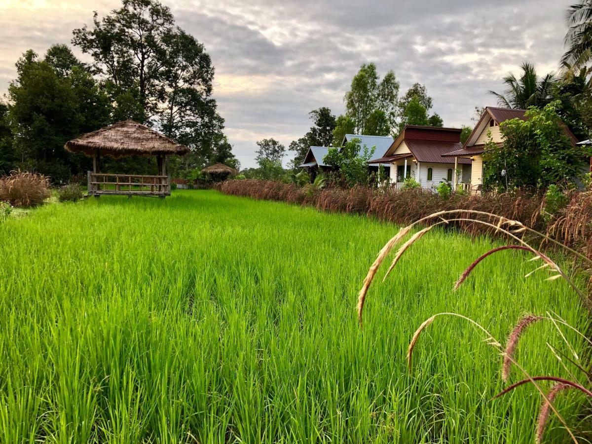 Baan Thung Home Stay Prasat المظهر الخارجي الصورة