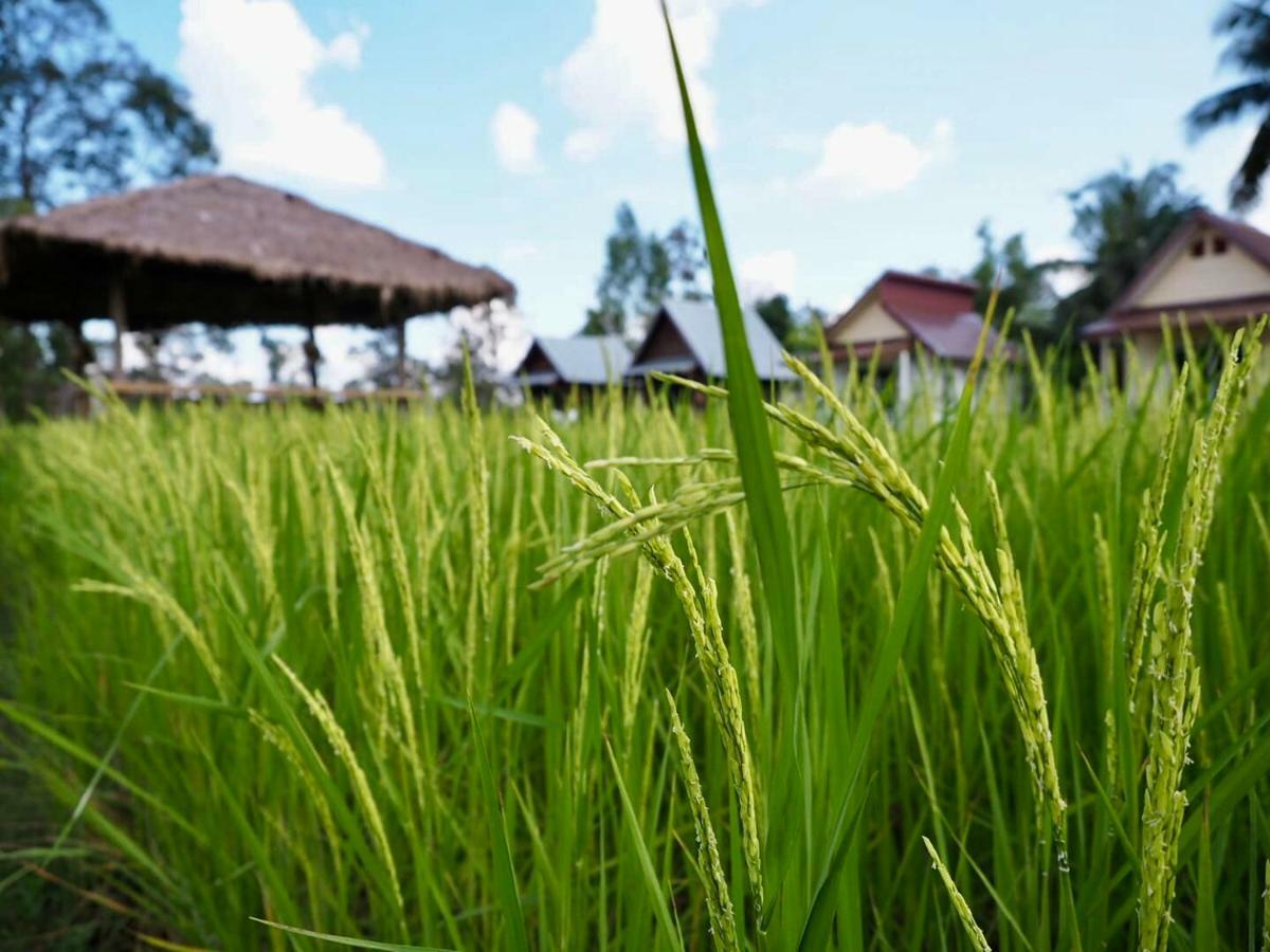 Baan Thung Home Stay Prasat المظهر الخارجي الصورة