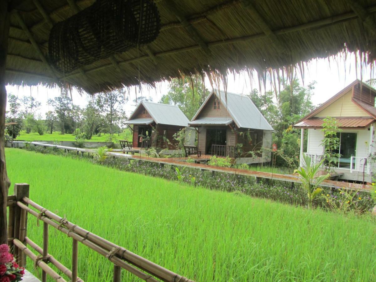 Baan Thung Home Stay Prasat المظهر الخارجي الصورة