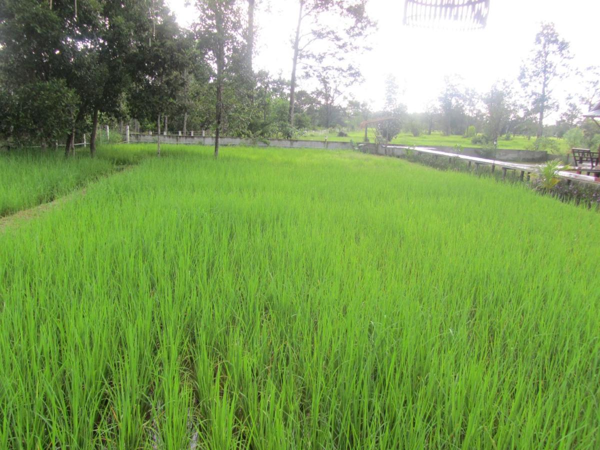 Baan Thung Home Stay Prasat المظهر الخارجي الصورة