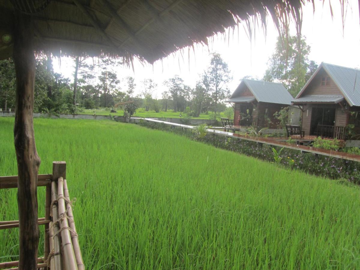 Baan Thung Home Stay Prasat المظهر الخارجي الصورة
